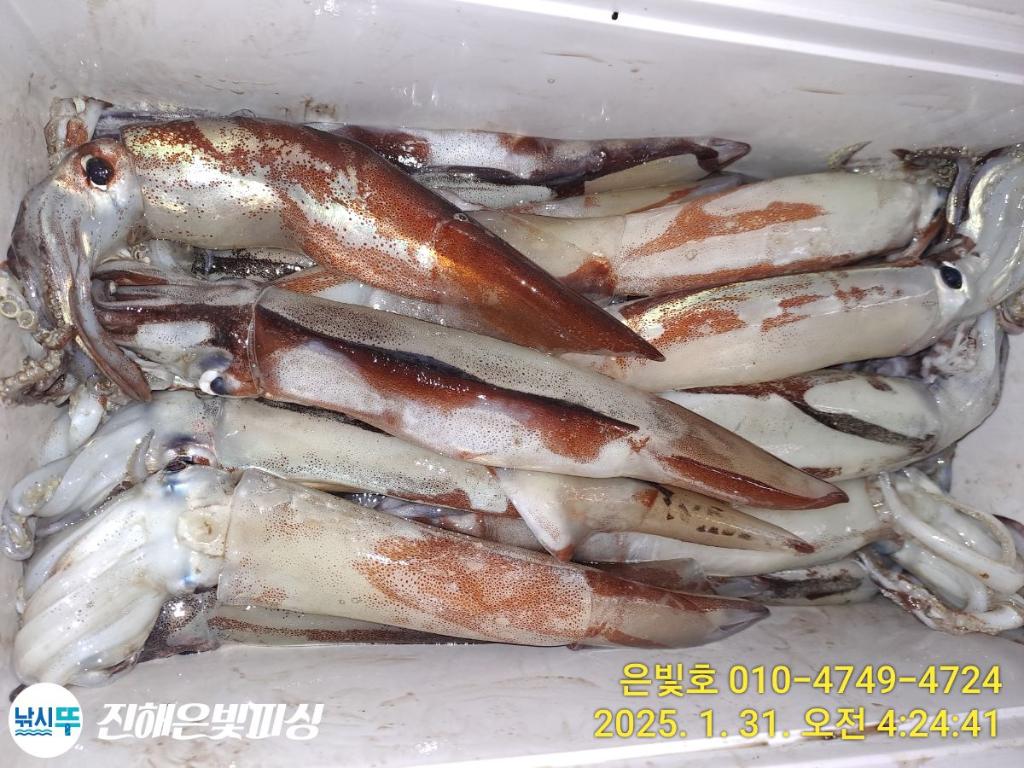 F2635508HU.jpg