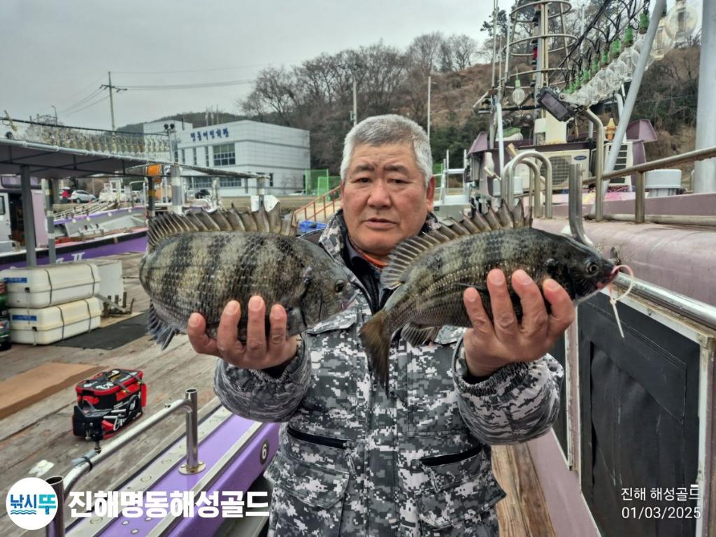 감성돔,도다리, 진해 명동해성골드, 낚시뚜
