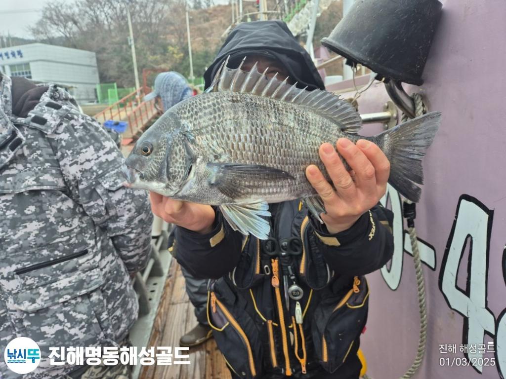 감성돔,도다리, 진해 명동해성골드, 낚시뚜