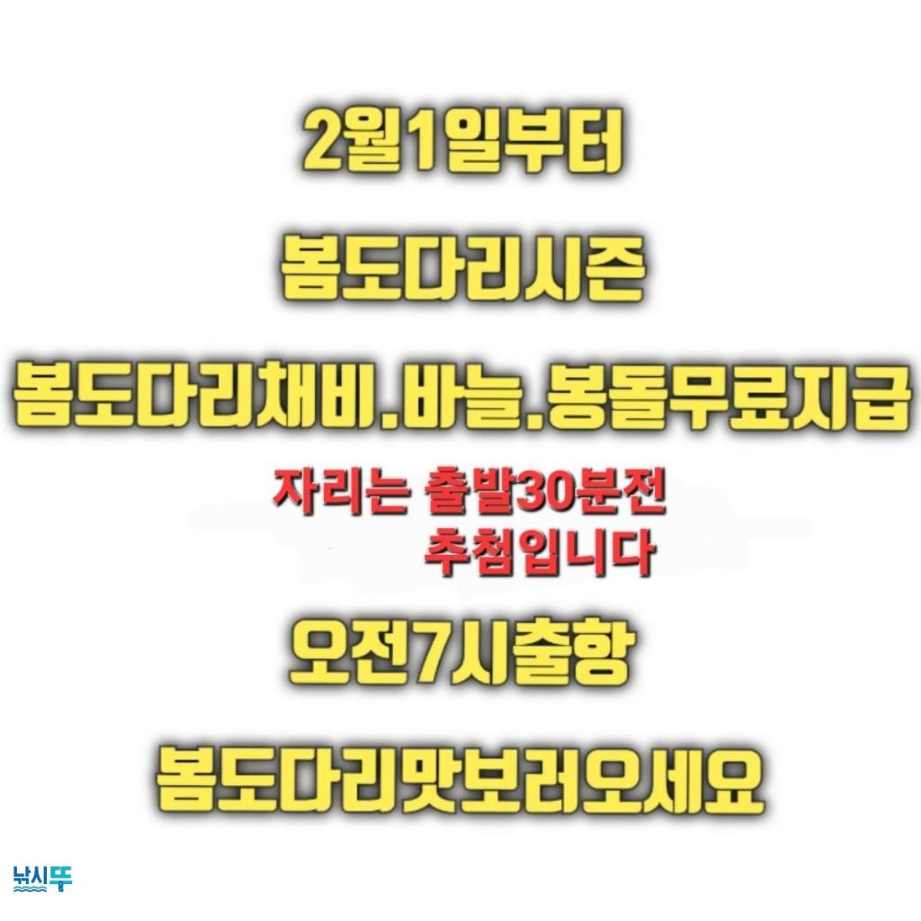 감성돔,도다리, 진해 명동해성골드, 낚시뚜