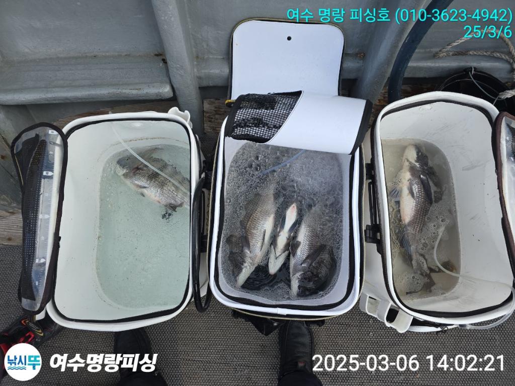 F2635779P8.jpg