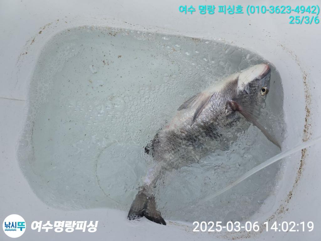 F2635780XU.jpg