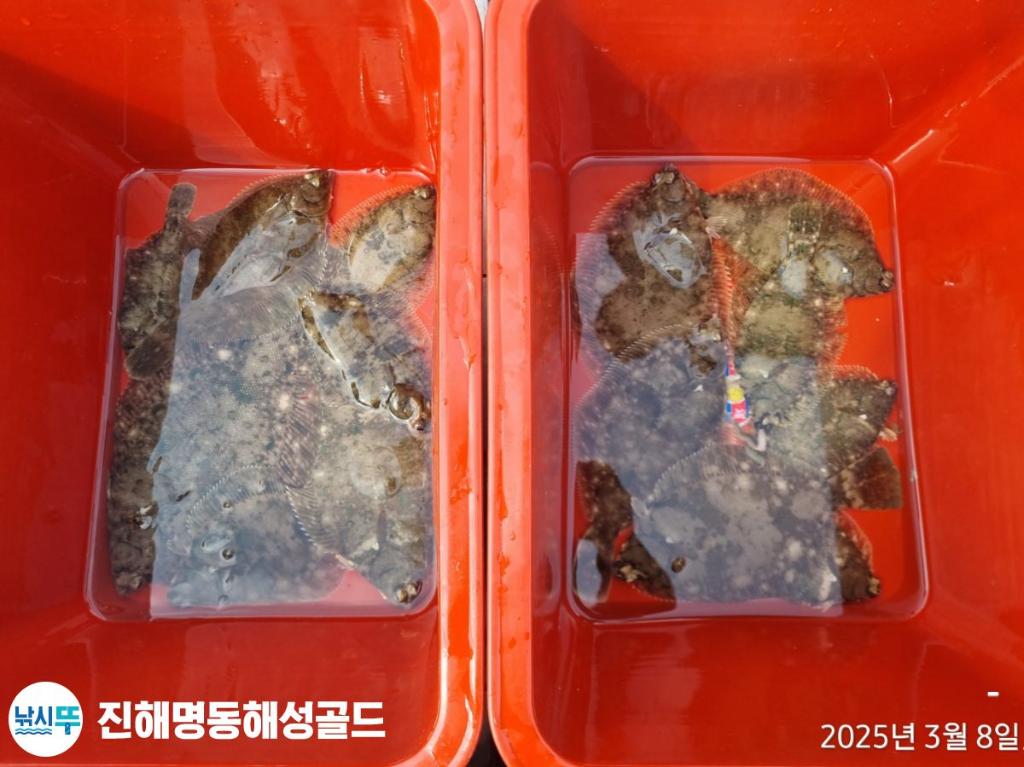F2636883IA.jpg