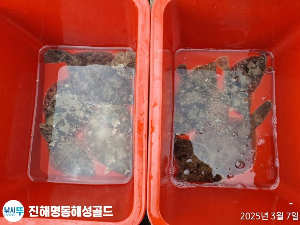 F2636895SW.jpg