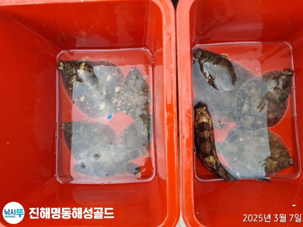 F26368968L.jpg