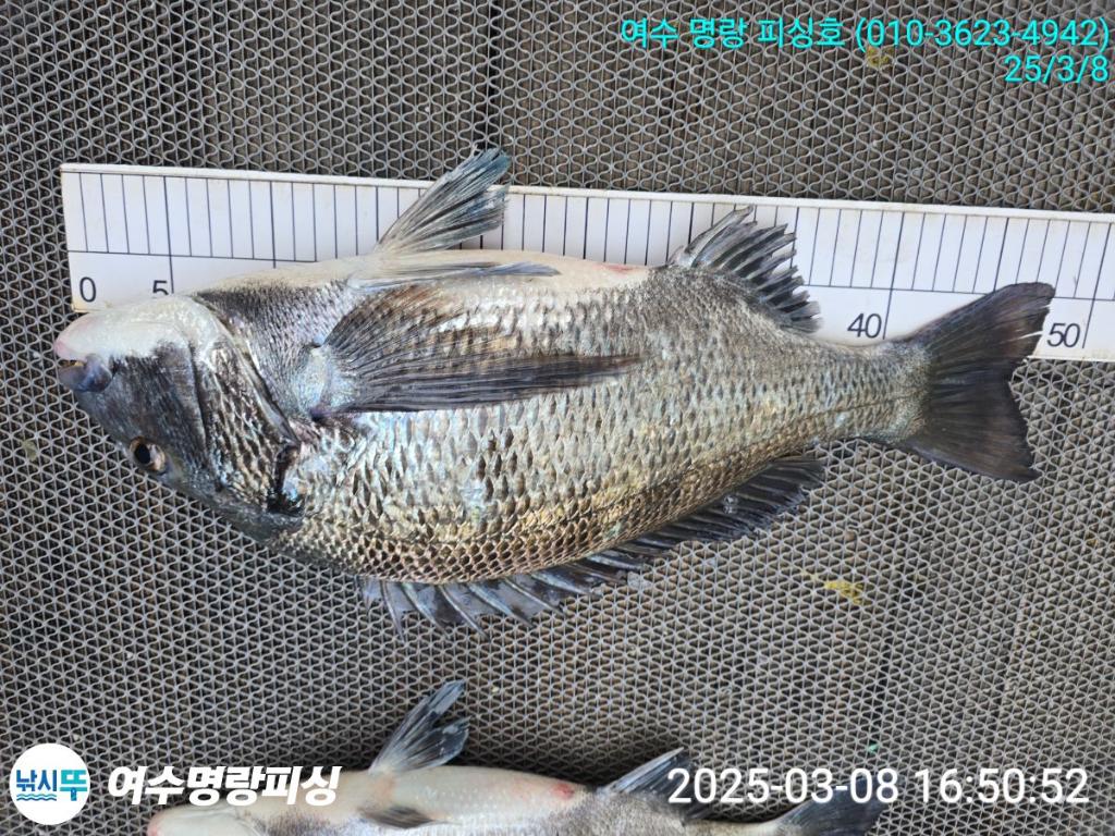 F2637023NK.jpg