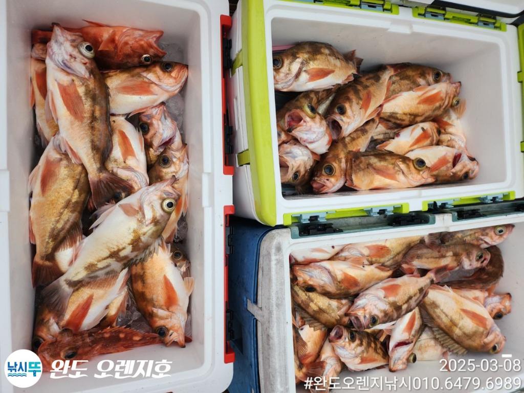 낚시뚜,열기,완도항,완도 오렌지호,낚시뚜11
