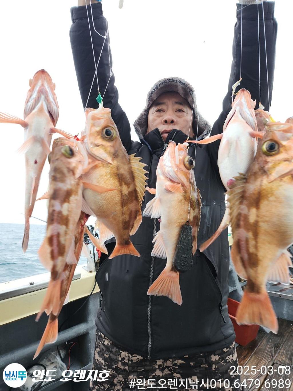 낚시뚜,열기,완도항,완도 오렌지호,낚시뚜0