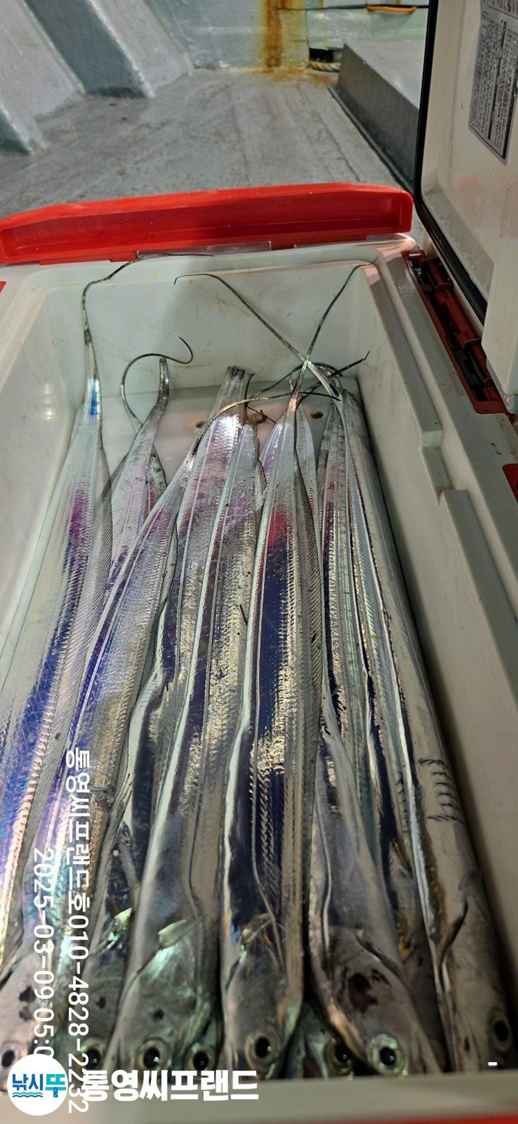 F2637492KG.jpg