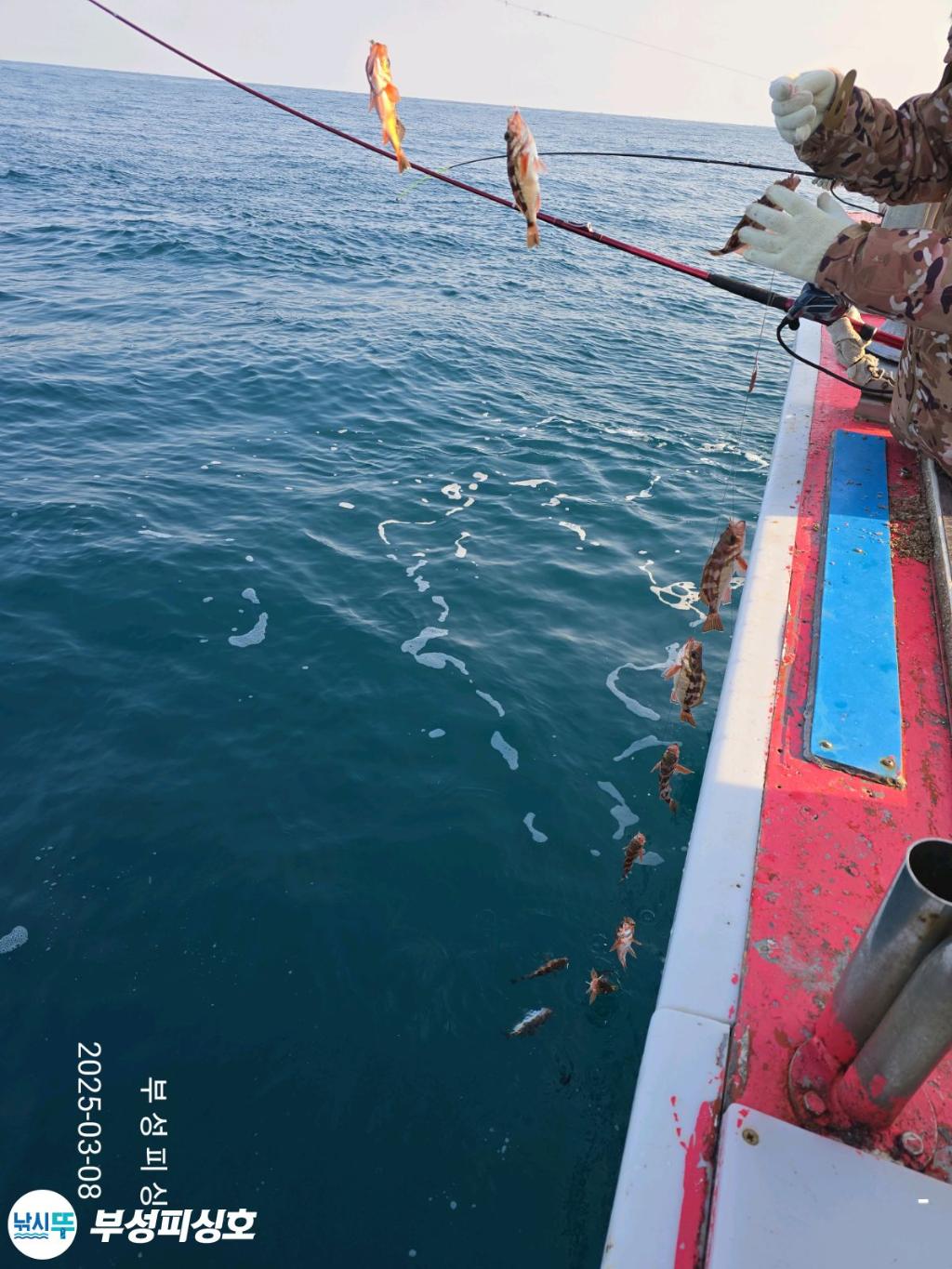 F2637849O4.jpg