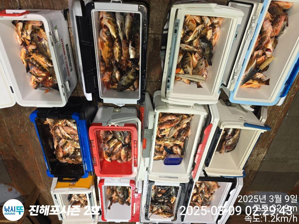 낚시뚜,볼락,열기,진해행암항,진해포시즌 2호,낚시뚜20