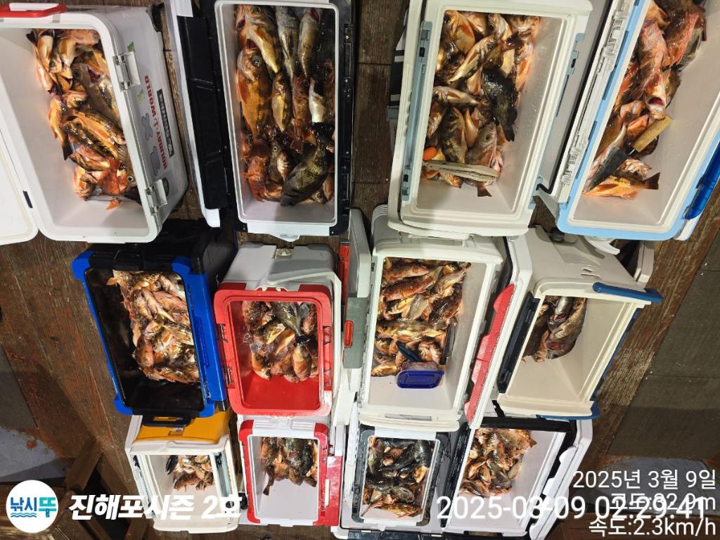 낚시뚜,볼락,열기,진해행암항,진해포시즌 2호,낚시뚜19