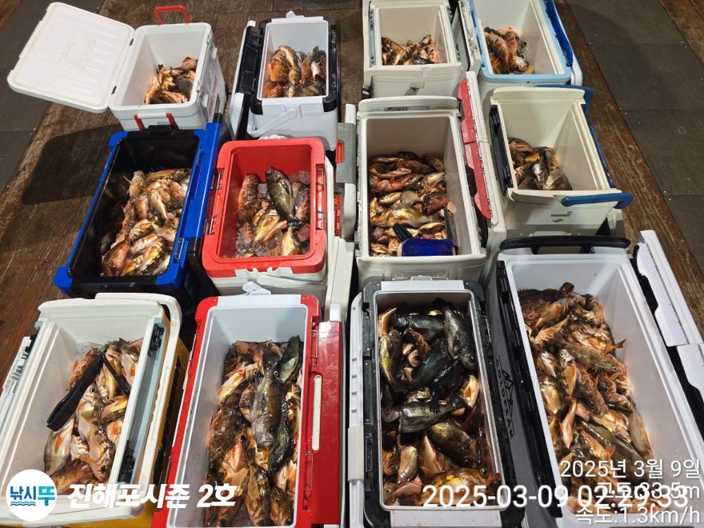 낚시뚜,볼락,열기,진해행암항,진해포시즌 2호,낚시뚜18