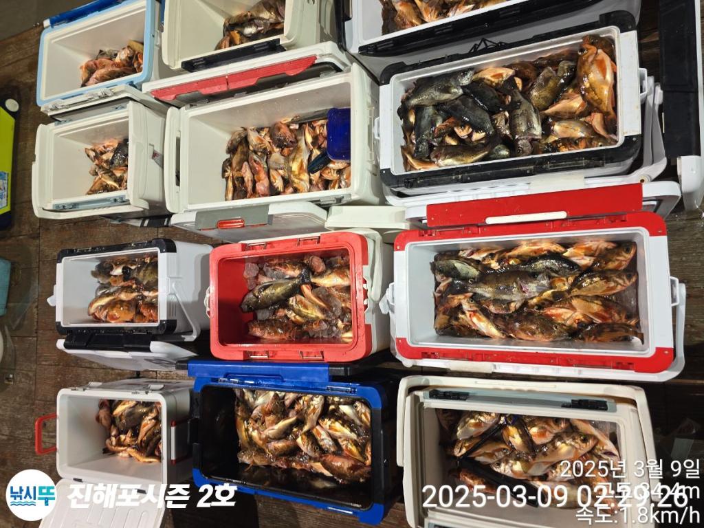 낚시뚜,볼락,열기,진해행암항,진해포시즌 2호,낚시뚜17