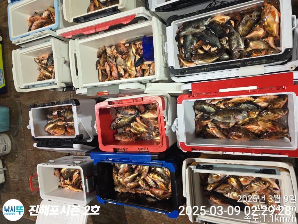 낚시뚜,볼락,열기,진해행암항,진해포시즌 2호,낚시뚜16