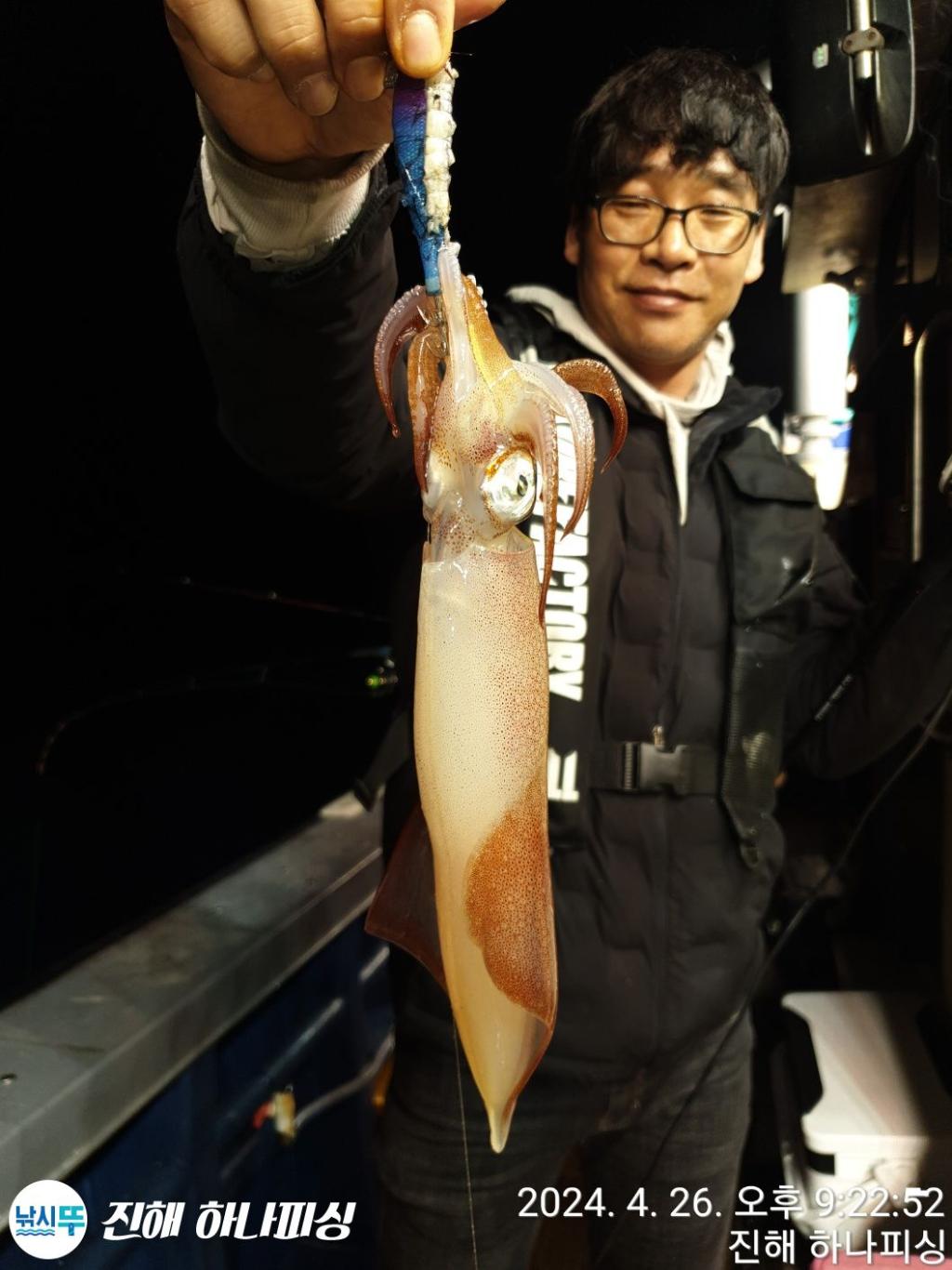 낚시뚜,한치,진해 안골항,진해 하나피싱,낚시뚜4