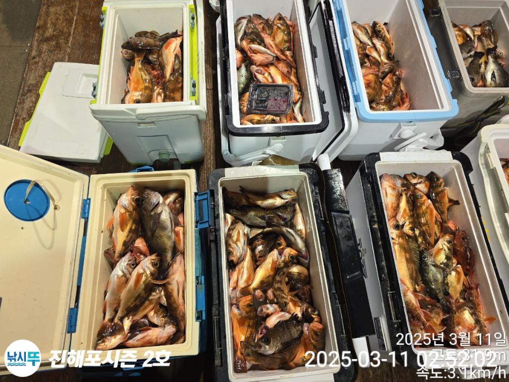 낚시뚜,볼락,열기,진해행암항,진해포시즌 2호,낚시뚜14