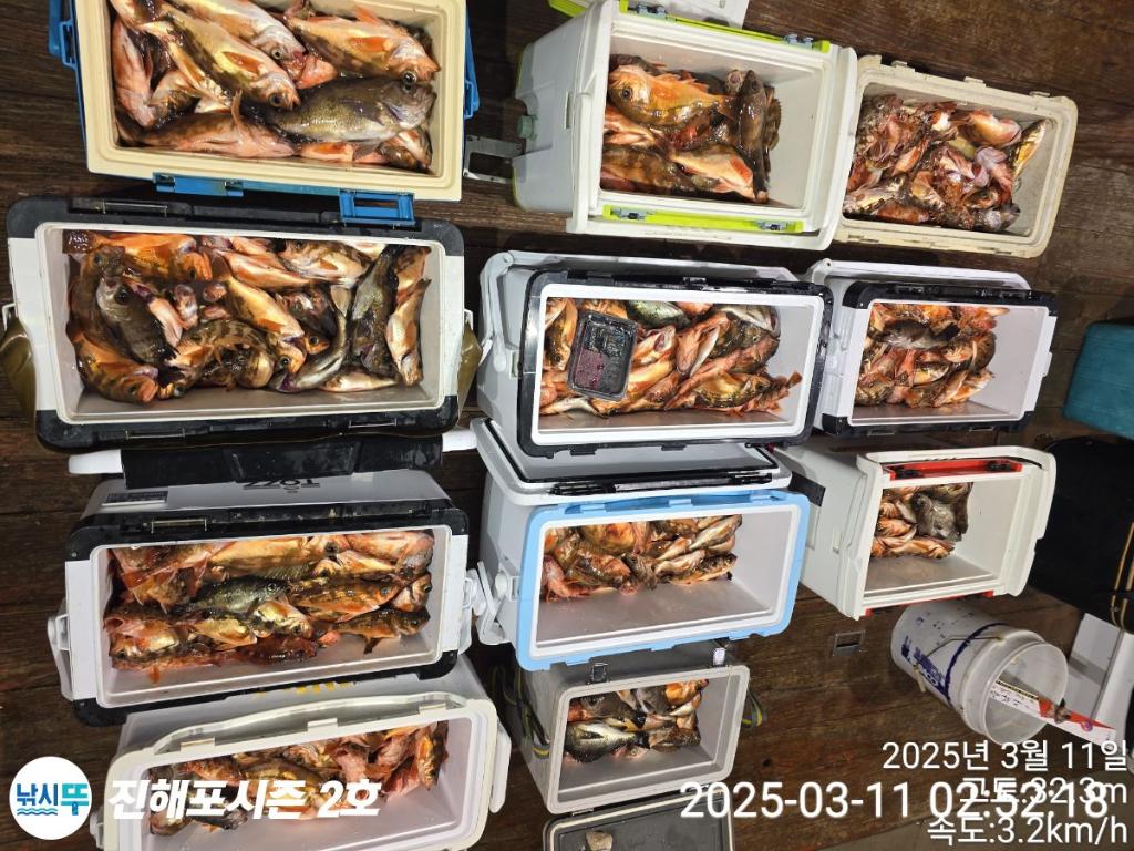 낚시뚜,볼락,열기,진해행암항,진해포시즌 2호,낚시뚜13