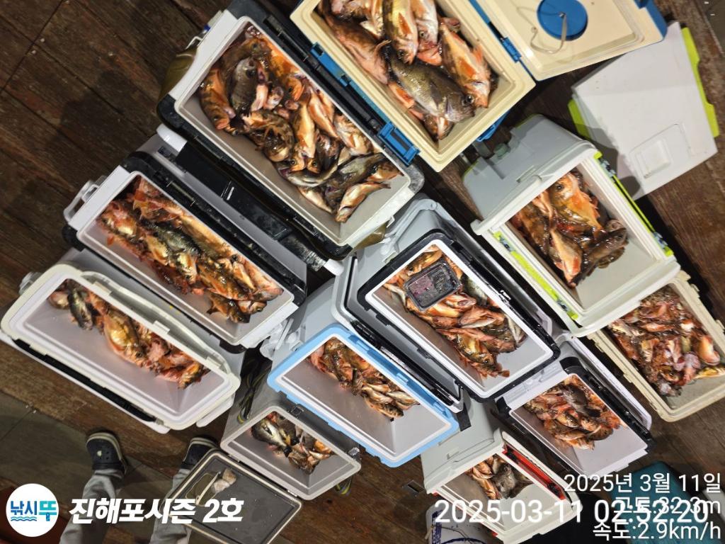 낚시뚜,볼락,열기,진해행암항,진해포시즌 2호,낚시뚜12