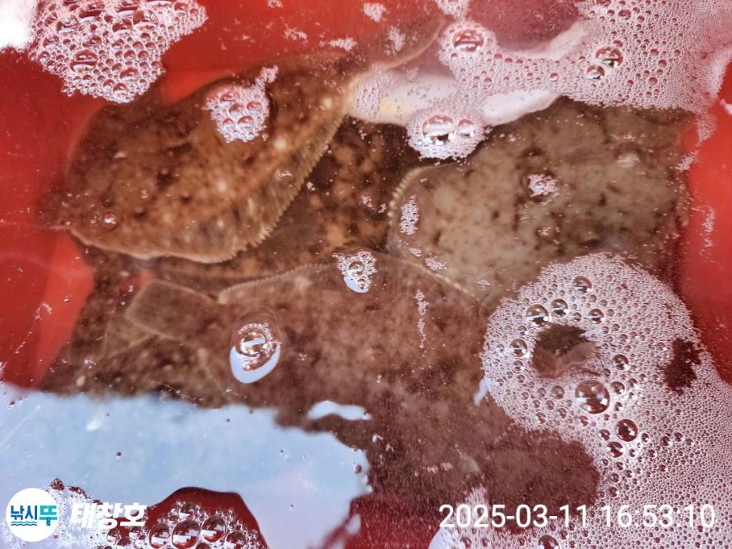 F2639984FM.jpg