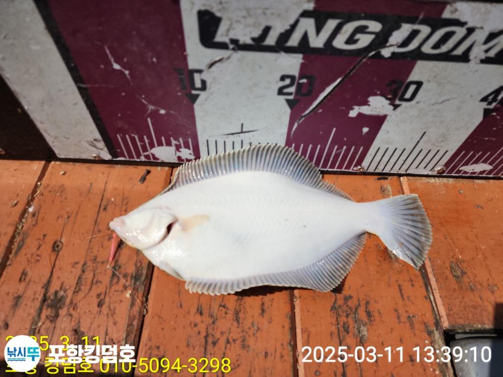 F2639997KN.jpg