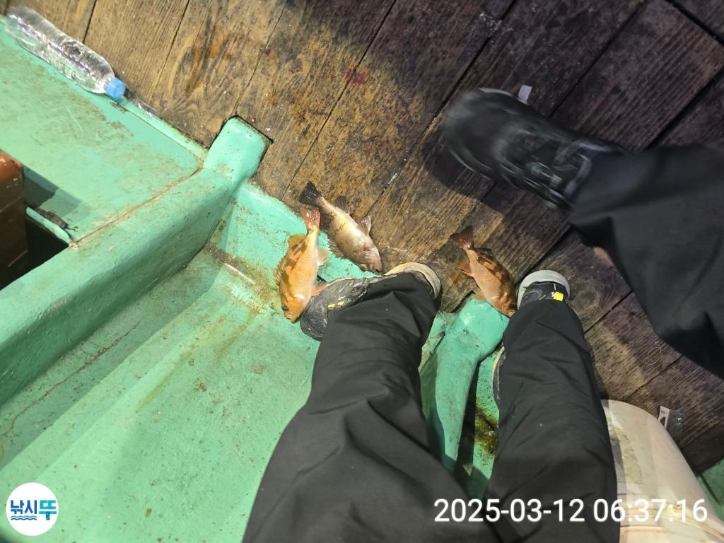 F2640741LQ.jpg