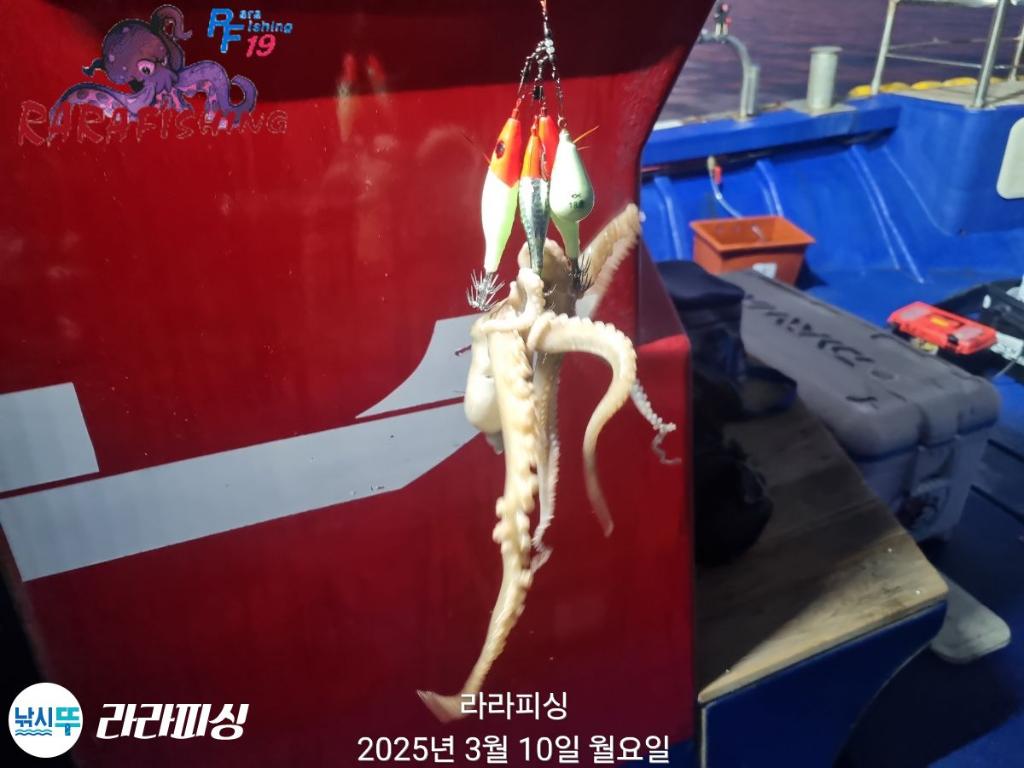 낚시뚜,낙지,속천항(진해),라라피싱,낚시뚜16