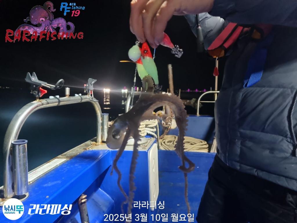 낚시뚜,낙지,속천항(진해),라라피싱,낚시뚜9