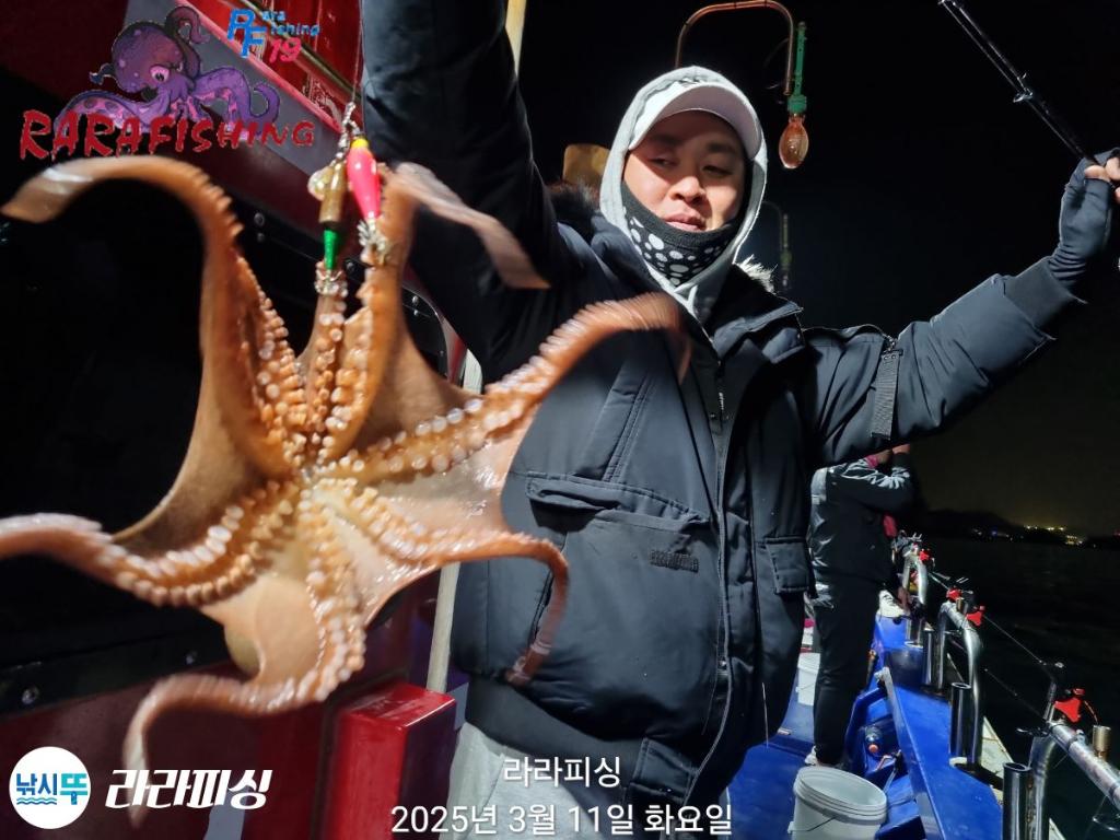 낚시뚜,낙지,속천항(진해),라라피싱,낚시뚜6