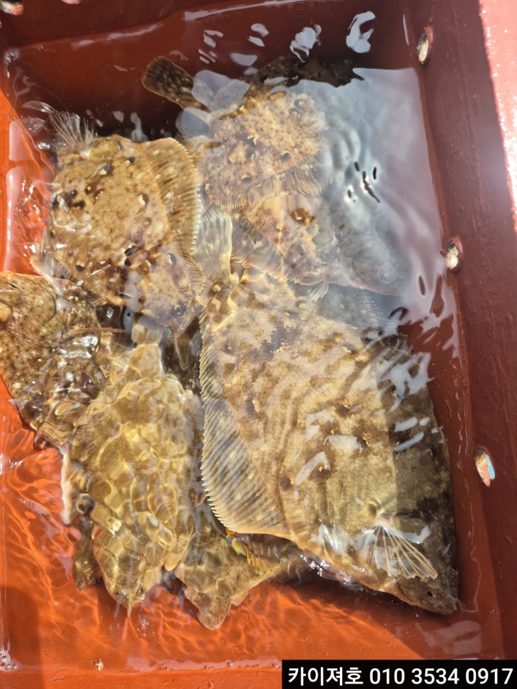 F264097224.jpg