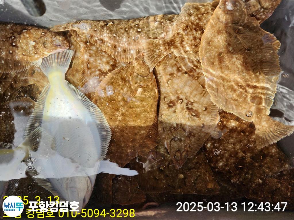 F264102551.jpg
