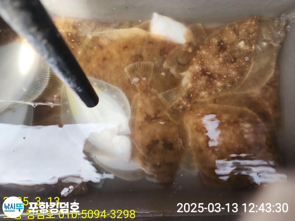 F2641026BS.jpg