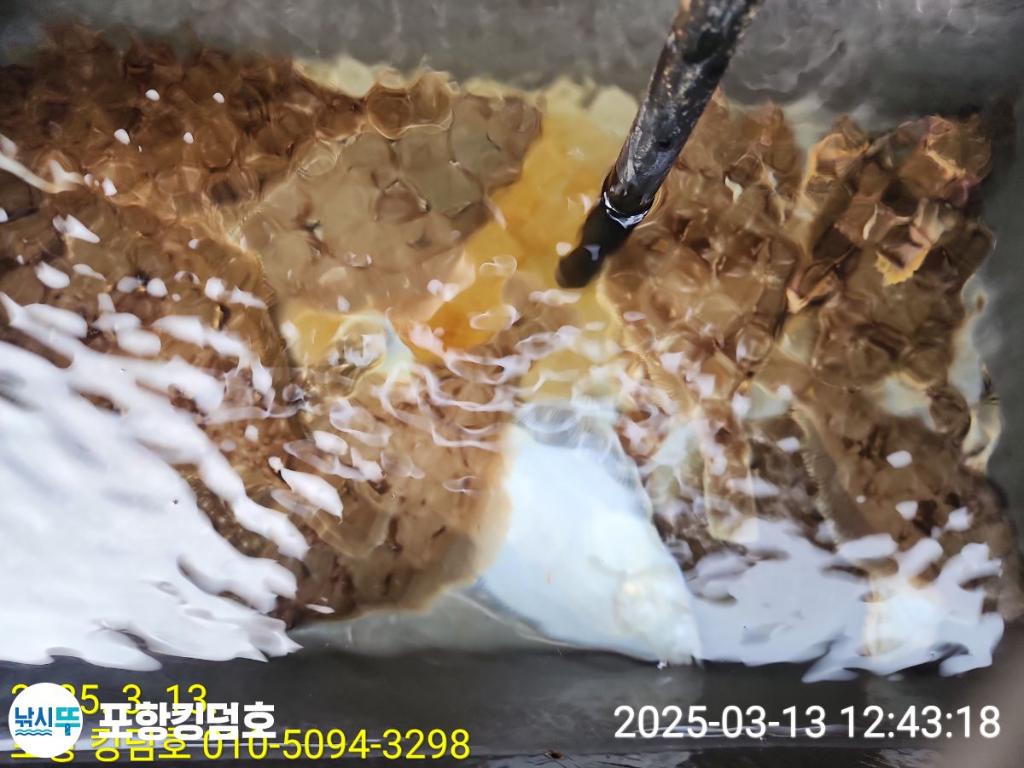 F264102778.jpg