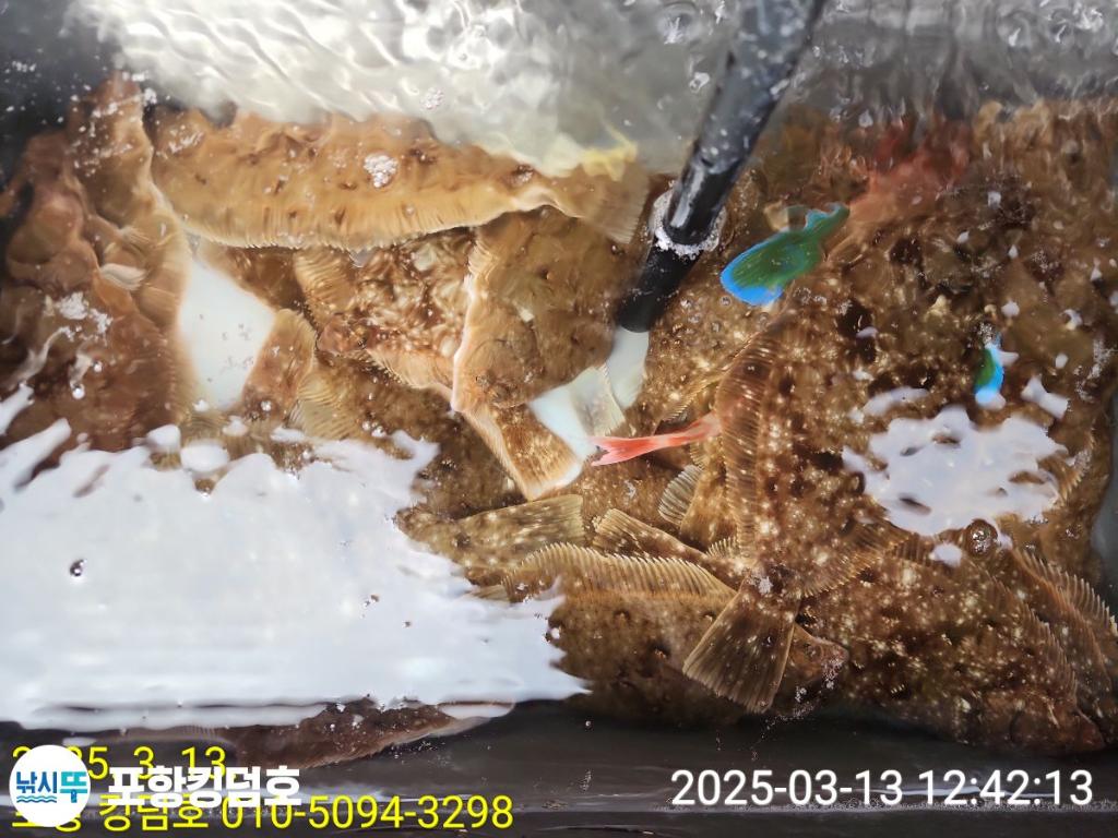 F2641030QM.jpg
