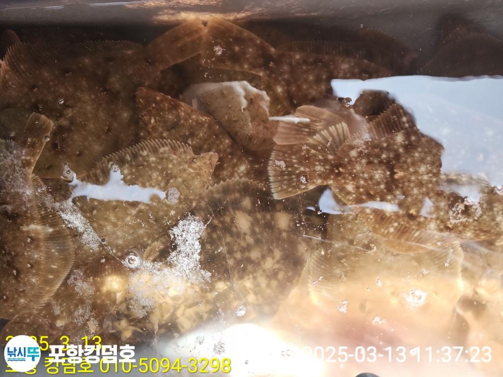 F26410351V.jpg