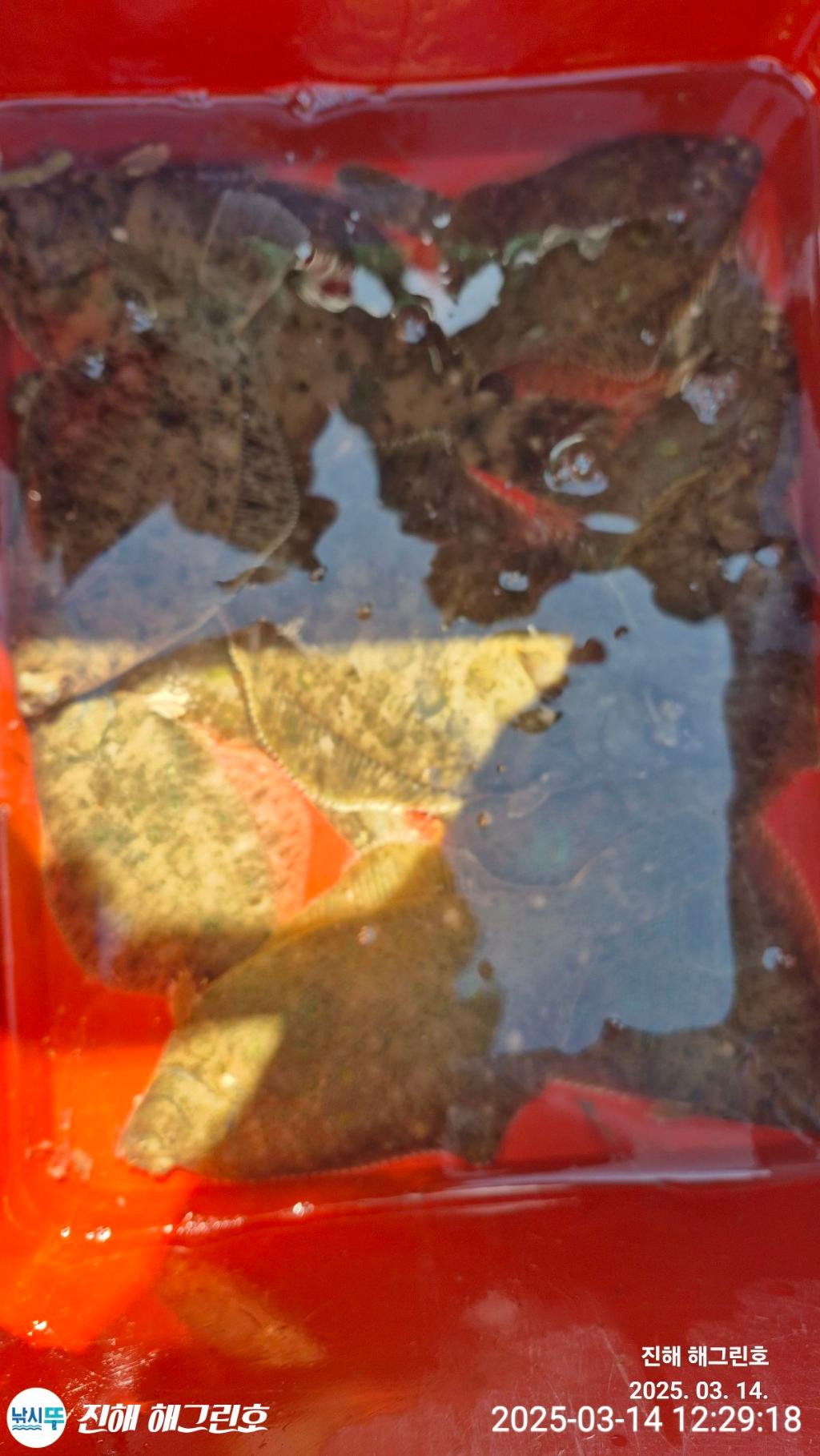 F26412605B.jpg