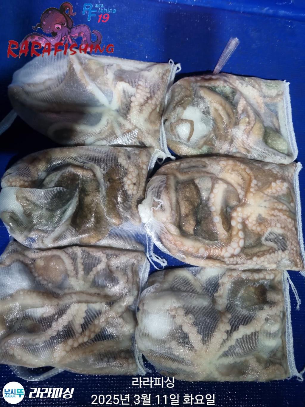 낚시뚜,도다리,속천항(진해),라라피싱,낚시뚜19