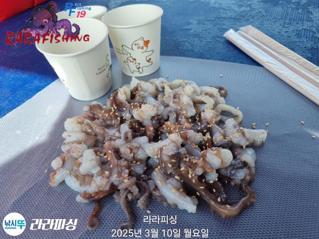 낚시뚜,도다리,속천항(진해),라라피싱,낚시뚜8