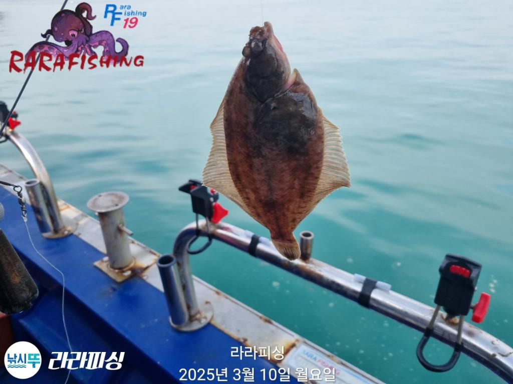 낚시뚜,도다리,속천항(진해),라라피싱,낚시뚜6