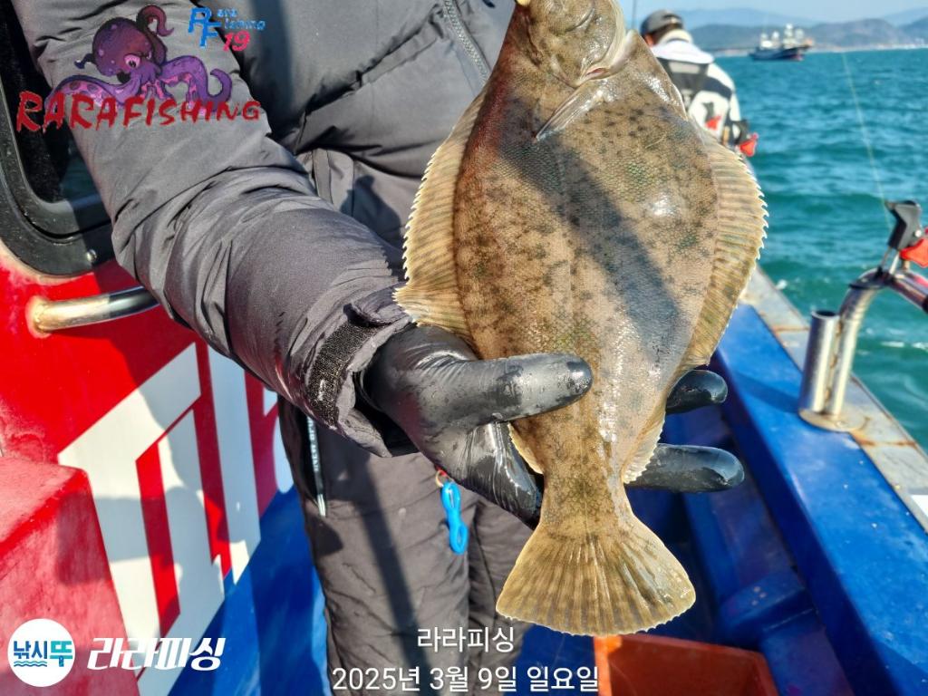 낚시뚜,도다리,속천항(진해),라라피싱,낚시뚜1