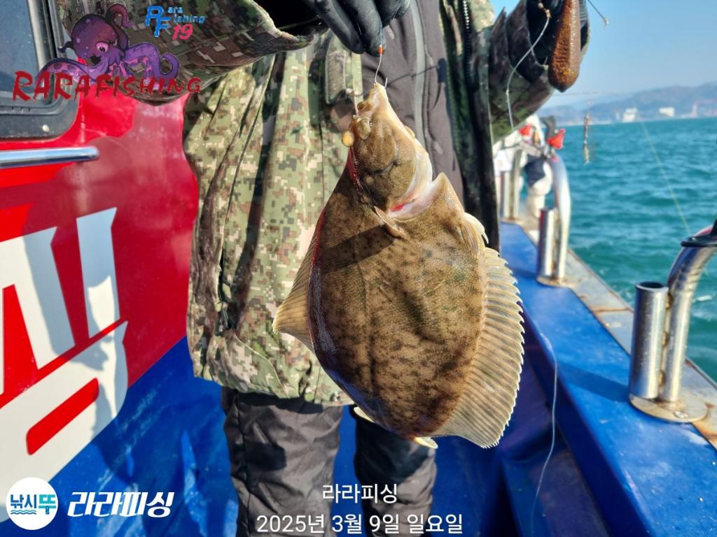 낚시뚜,도다리,속천항(진해),라라피싱,낚시뚜0