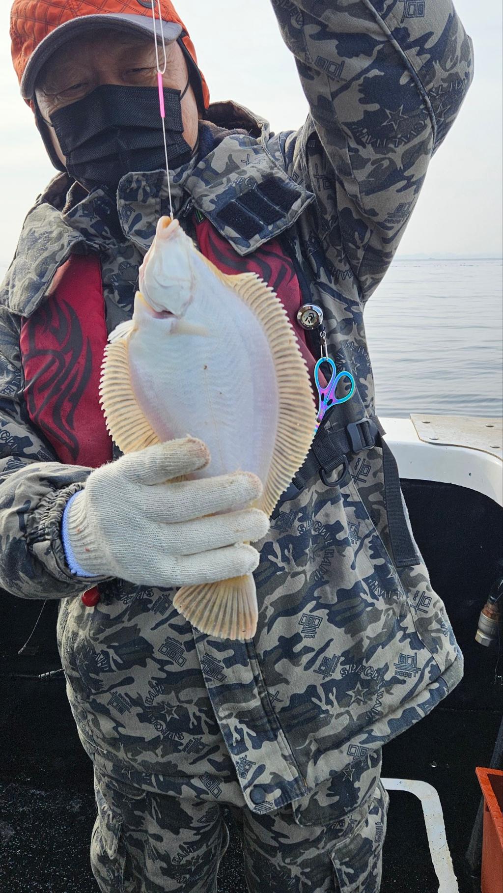 F2641697PS.jpg