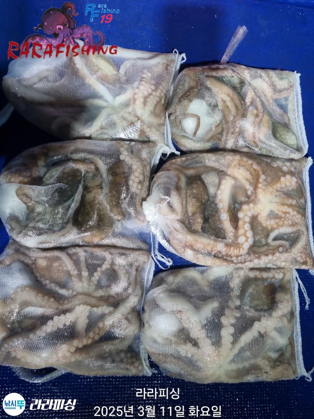 낚시뚜,낙지,속천항(진해),라라피싱,낚시뚜22