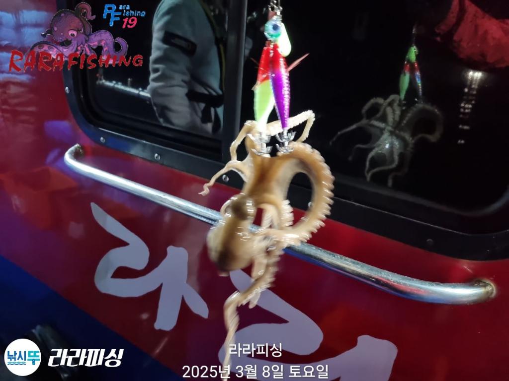 낚시뚜,낙지,속천항(진해),라라피싱,낚시뚜25