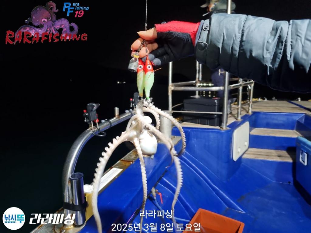 낚시뚜,낙지,속천항(진해),라라피싱,낚시뚜24