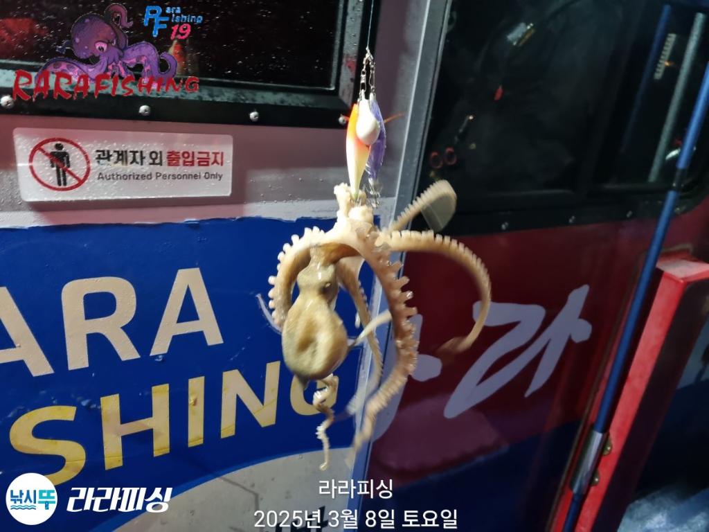 낚시뚜,낙지,속천항(진해),라라피싱,낚시뚜17