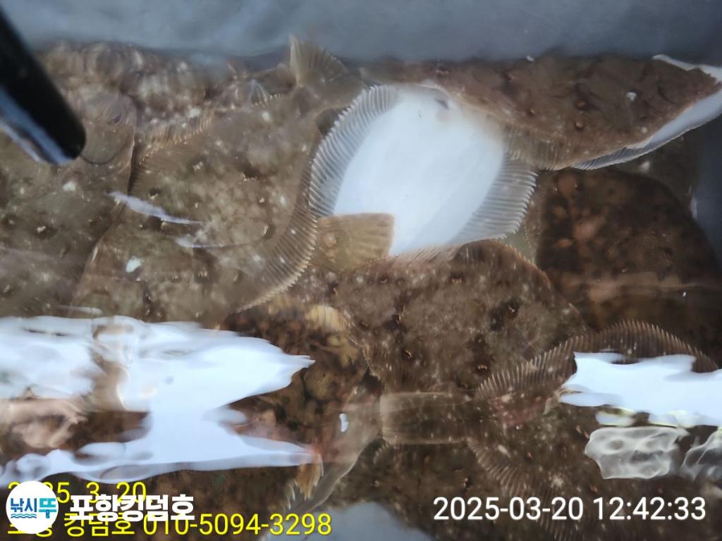 F2642632WK.jpg