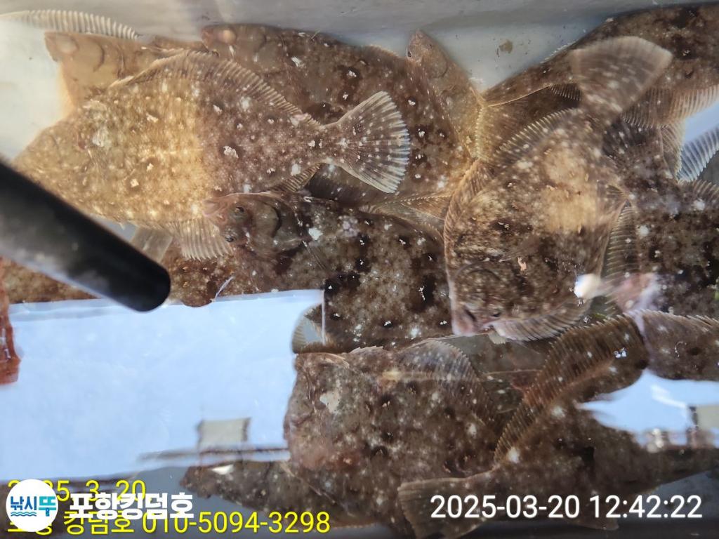 F26426332B.jpg