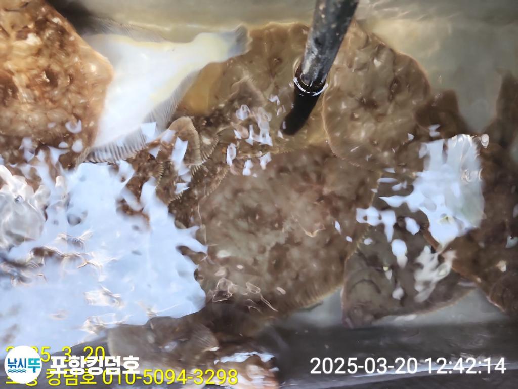 F2642634HX.jpg
