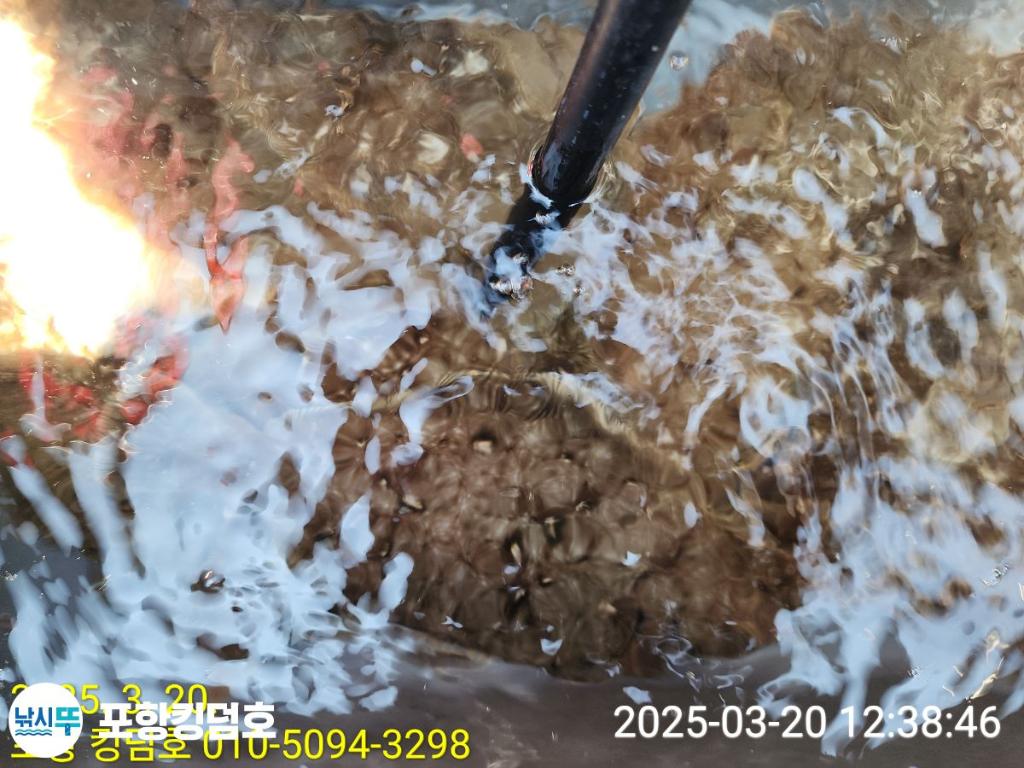 F2642639WQ.jpg